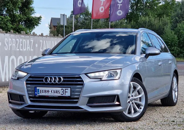 łódzkie Audi A4 cena 109900 przebieg: 81000, rok produkcji 2019 z Łęczyca